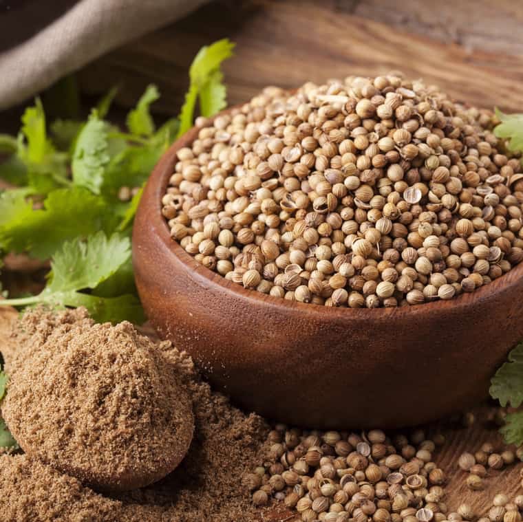 تخم گشنیز