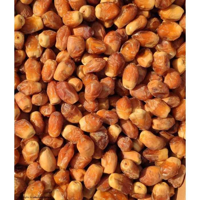 خرما زاهدی